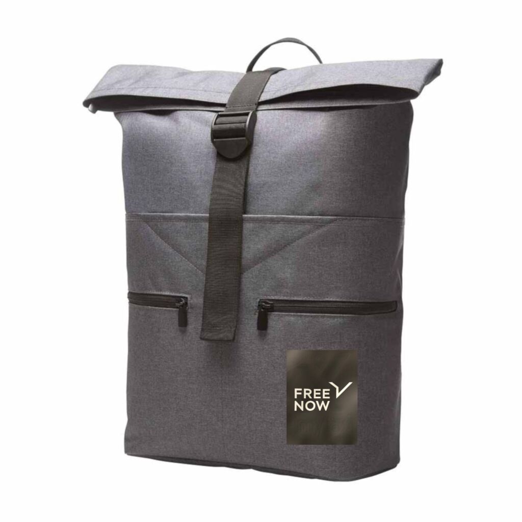 Halfar Backpack Gray Limited Edition Free Now